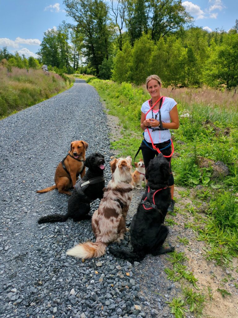 Assistenzhundetrainerin Bibi geht mit 4 Hunden Joggen
